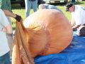 IMG 3729 IMG 3729